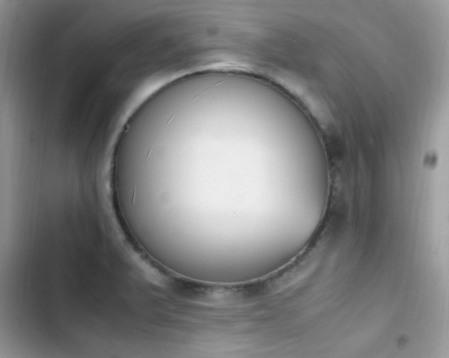 X0000103941375200809191407