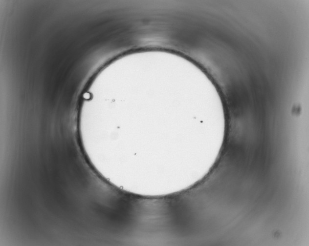 X0000103941376200809191407