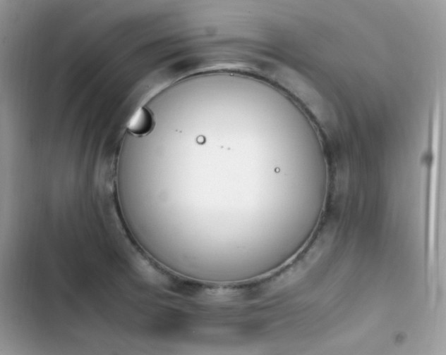 X0000103941377200809191407
