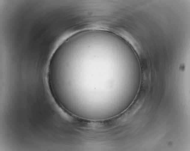 X0000103941379200809191407
