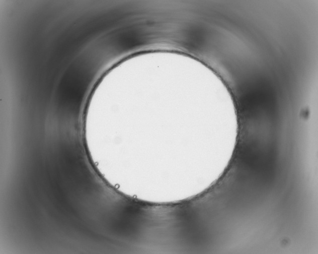 X0000103941380200809191407