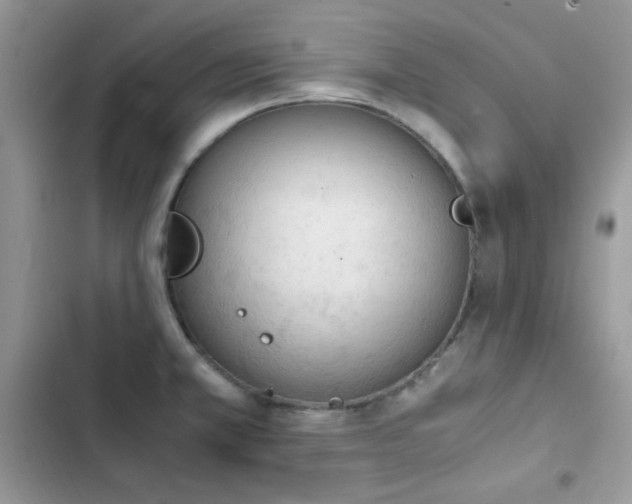 X0000103941381200809191407