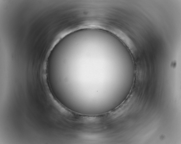 X0000103941382200809191407