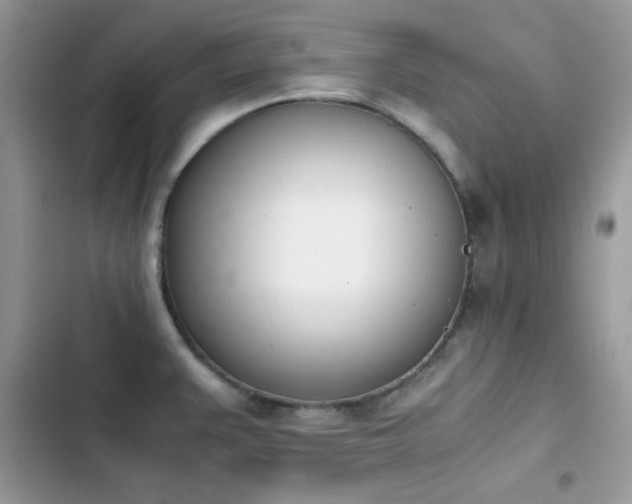 X0000103941383200809191407