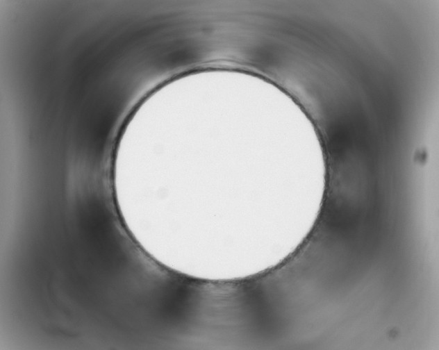 X0000103941384200809191407