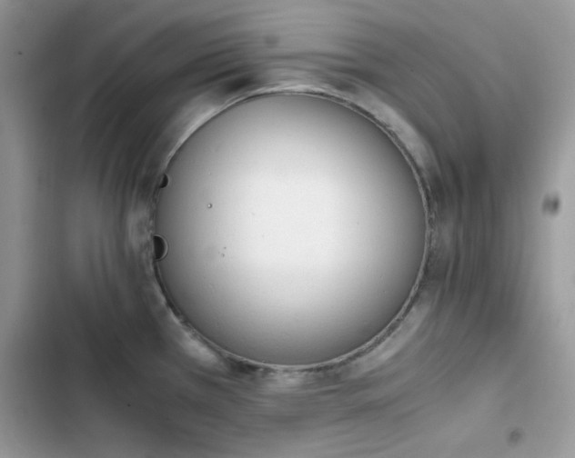X0000103941385200809191407