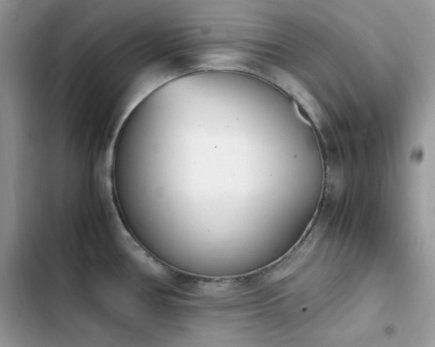 X0000103941386200809191407