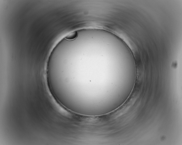 X0000103941387200809191407