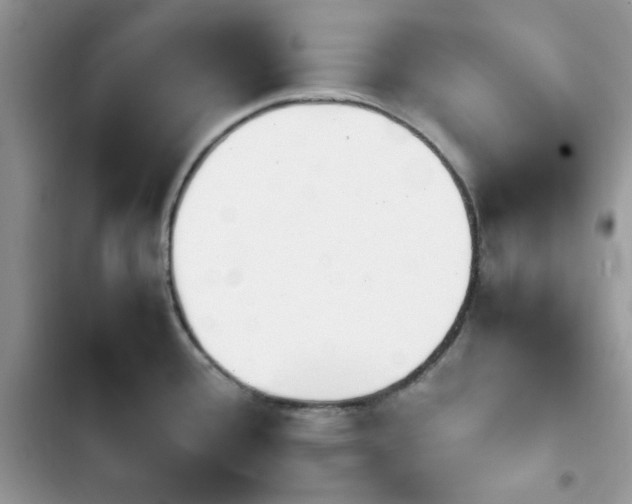 X0000103941388200809191407