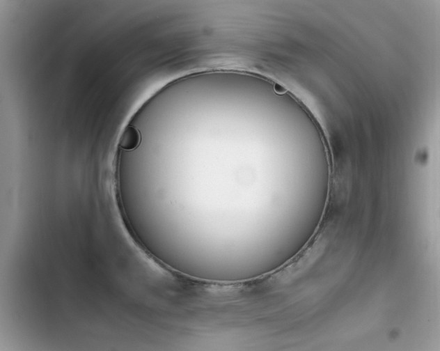 X0000103941389200809191407