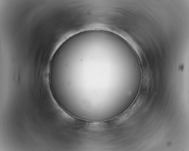 X0000103941390200809191407