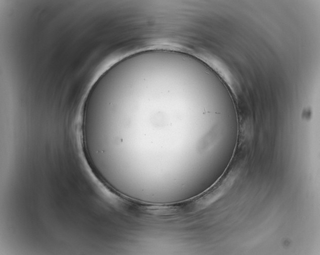 X0000103941391200809191407