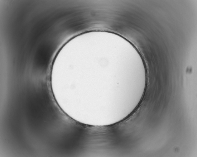 X0000103941392200809191407