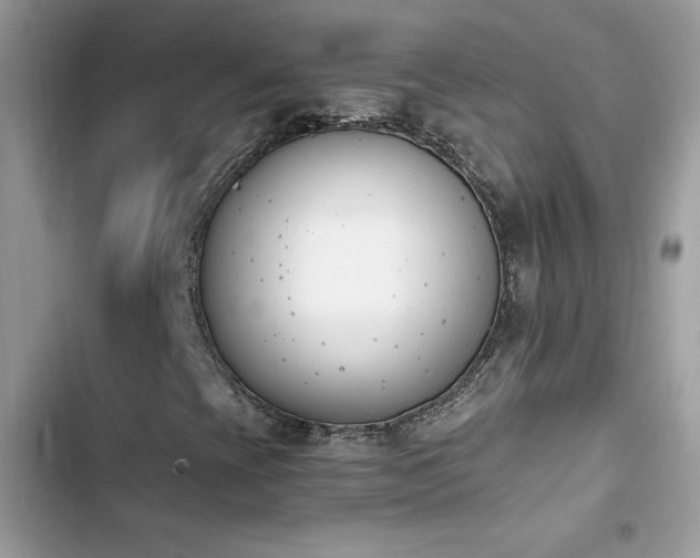 X0000103941393200809191406