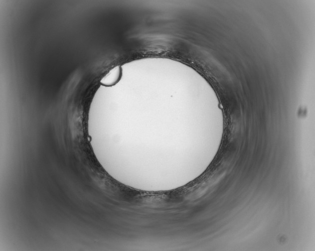 X0000103941394200809191406