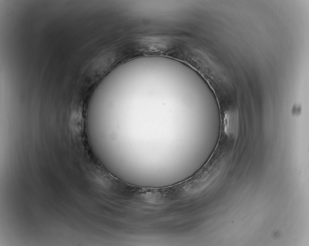 X0000103941395200809191406