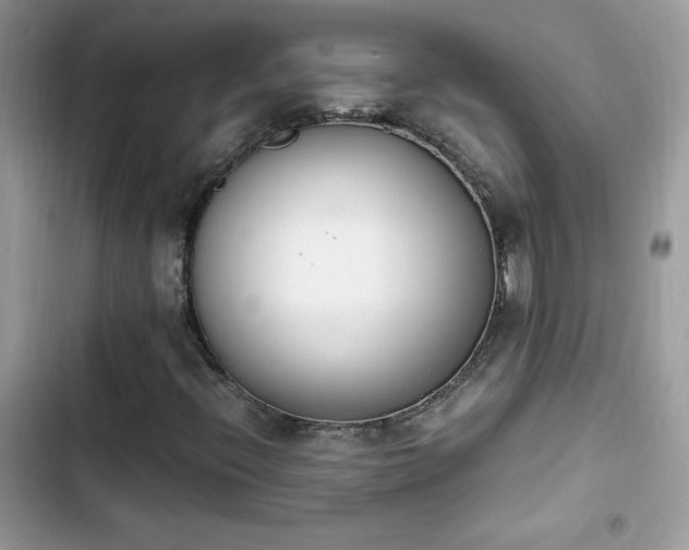 X0000103941396200809191406