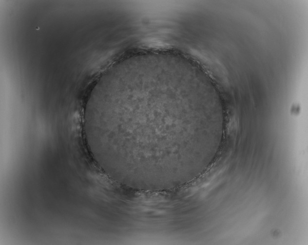 X0000103941397200809191406