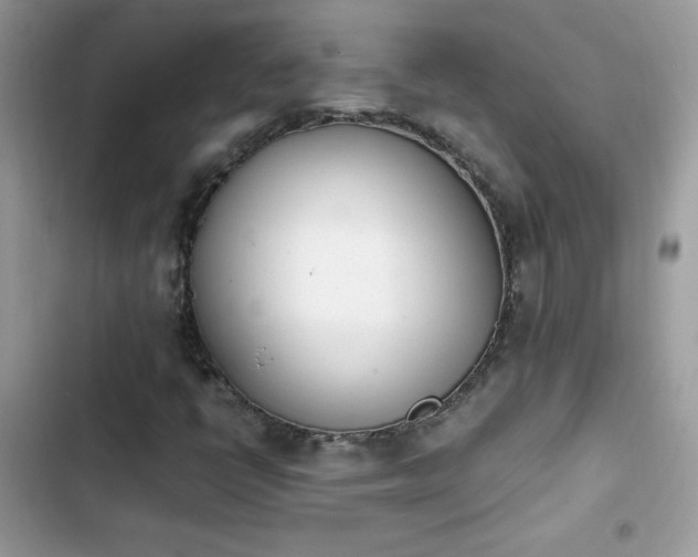 X0000103941398200809191406