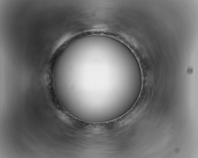 X0000103941400200809191406