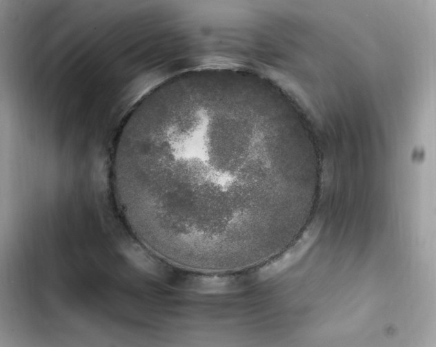 X0000103941401200809191406
