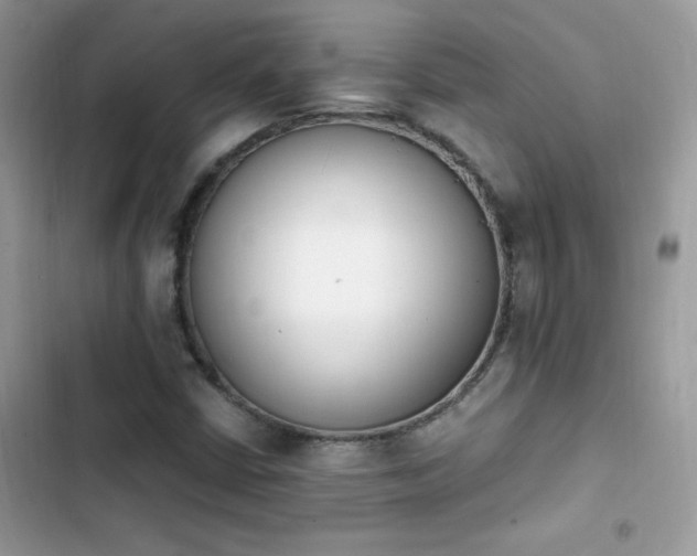 X0000103941402200809191406