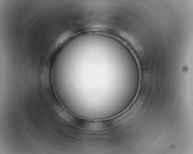 X0000103941403200809191406