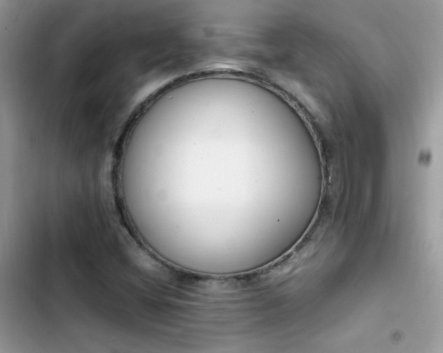 X0000103941404200809191406