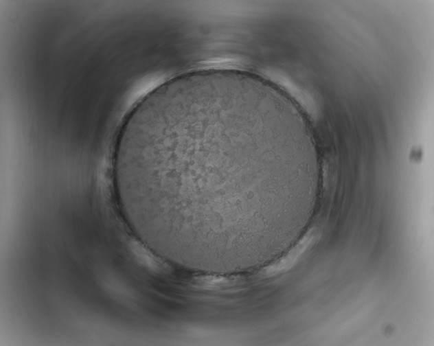 X0000103941405200809191406