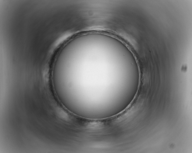 X0000103941406200809191406