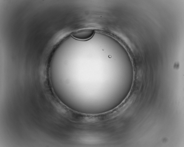 X0000103941407200809191406