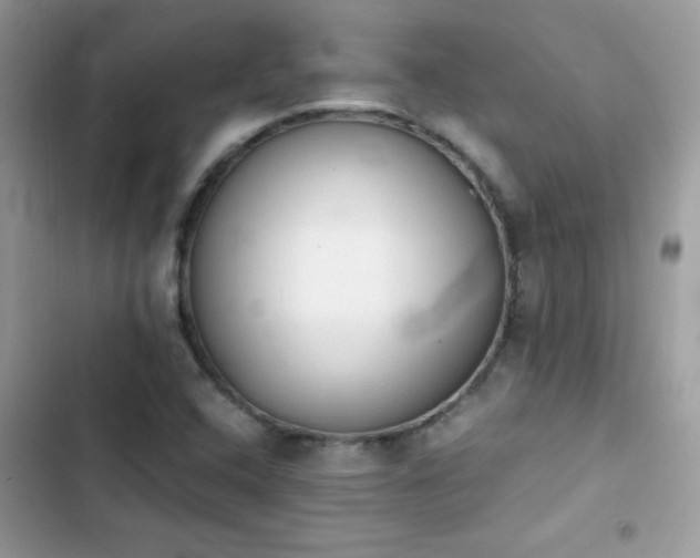 X0000103941408200809191406