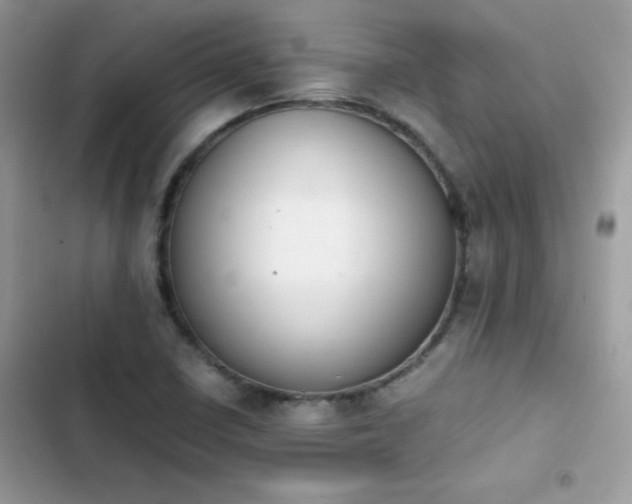 X0000103941410200809191406