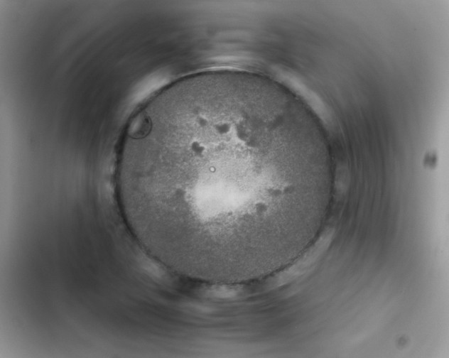 X0000103941411200809191406