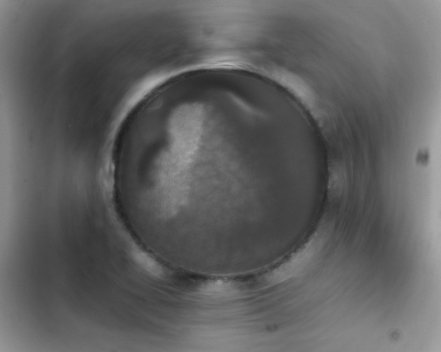 X0000103941414200809191406