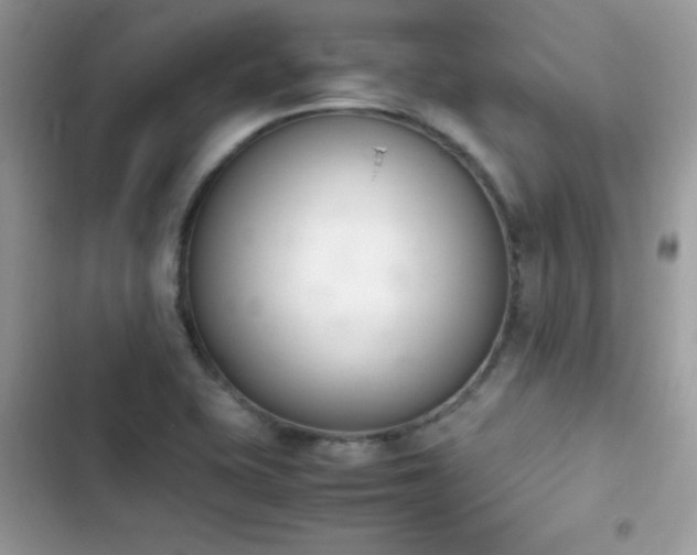 X0000103941415200809191406