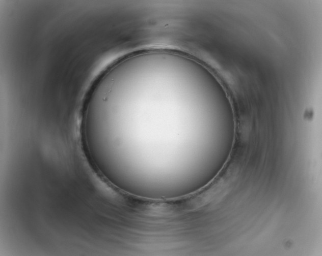 X0000103941416200809191406