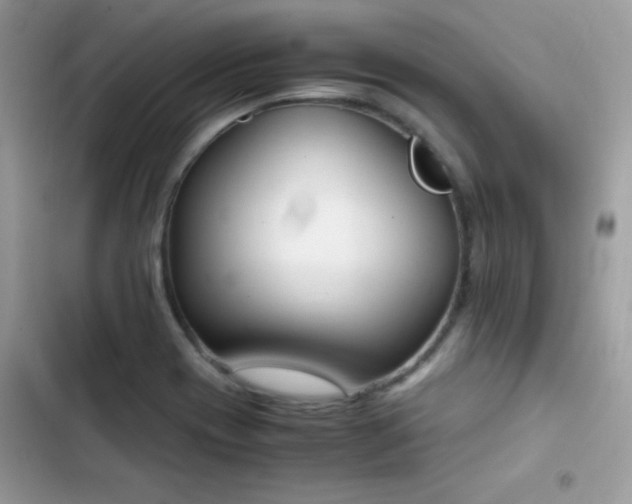 X0000103941417200809191406