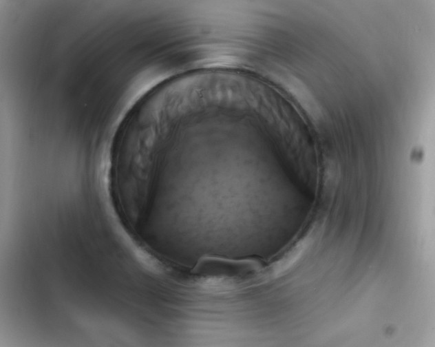 X0000103941418200809191406