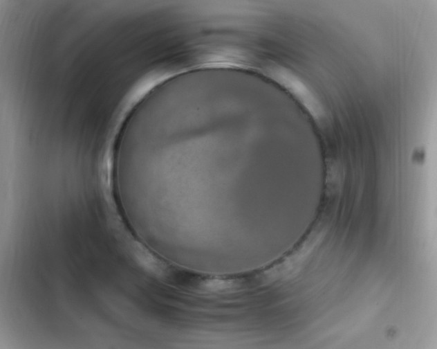 X0000103941419200809191406