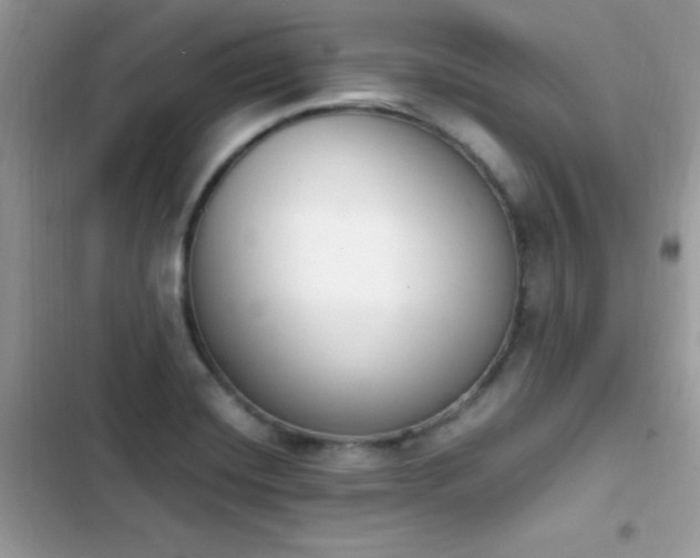 X0000103941420200809191406