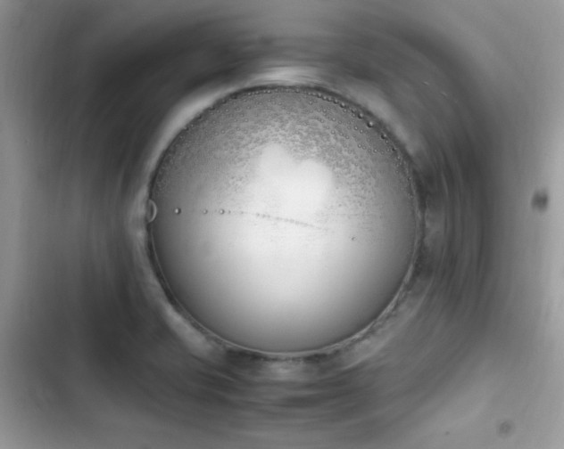 X0000103941421200809191406