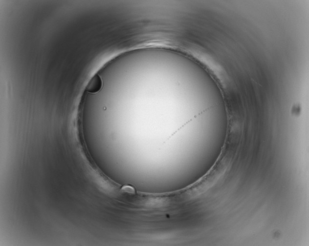 X0000103941423200809191406