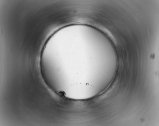 X0000103941424200809191406