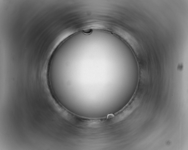 X0000103941426200809191406