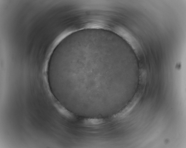 X0000103941427200809191406