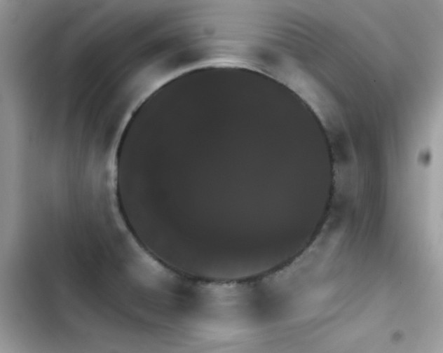 X0000103941428200809191406