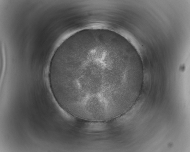 X0000103941429200809191406