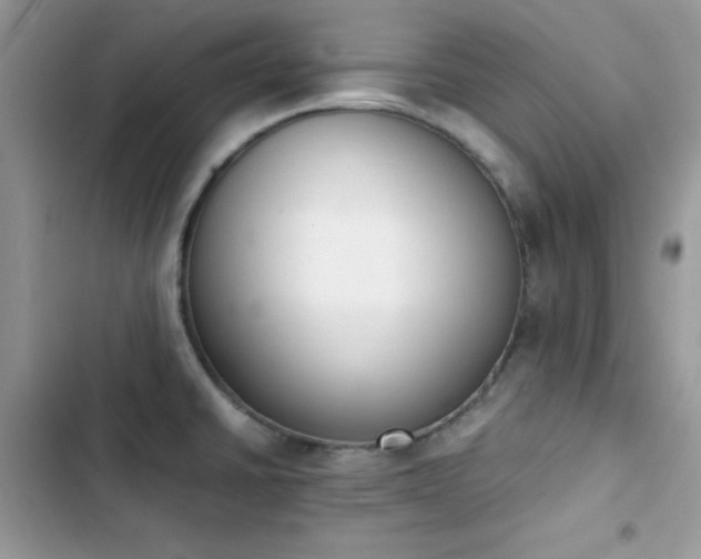 X0000103941430200809191406