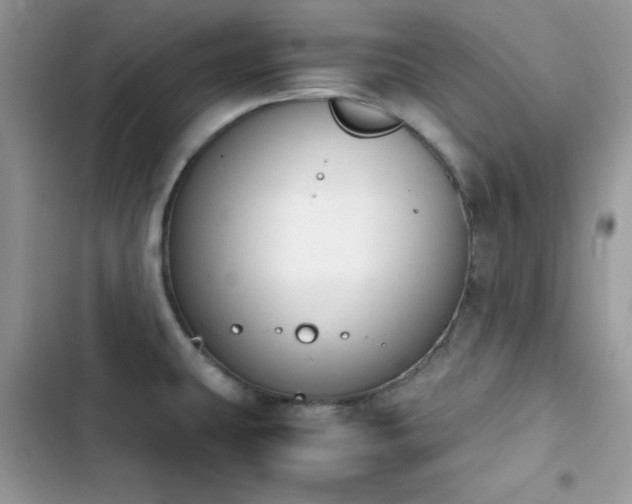 X0000103941431200809191406